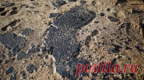 Молодые учёные обсудят решения по ликвидации последствий разлива нефти в Анапе. Мероприятие — спутник Конгресса молодых учёных пройдёт в Анапе 2—4 июня, заявил губернатор Краснодарского края Вениамин Кондратьев. Читать далее