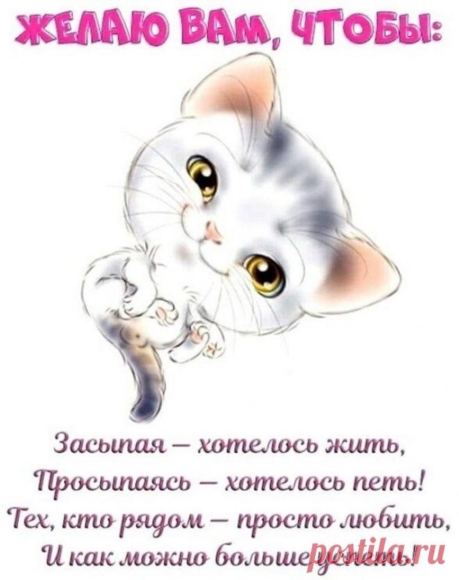 75650470_3153472778056578_1358875687645085696_n.jpg (761×960)