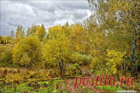 поленово