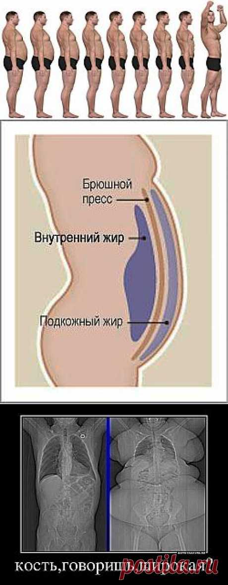 (+1) тема - Жиросжигание — это не тренировки, а питание | Диеты со всего света