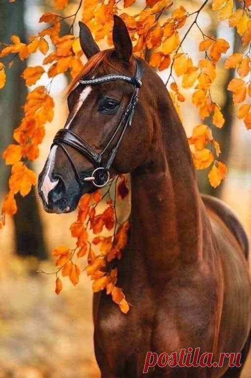 ღ