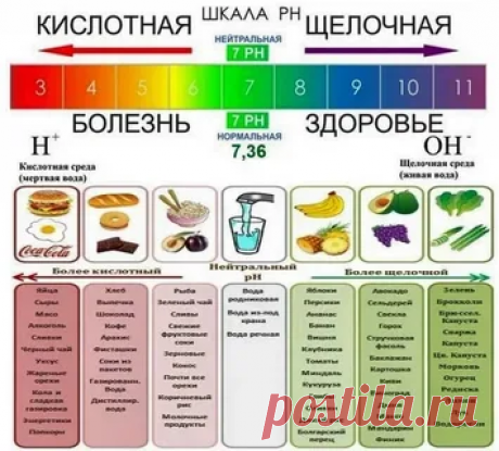 Продукты, что СТАРЯТ на 15 ЛЕТ раньше.