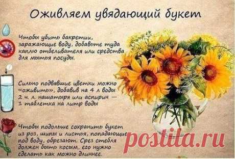 Дневник Шрек_Лесной
