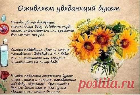 Дневник Шрек_Лесной