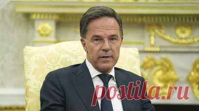 Рютте заявил, что Украина должна присутствовать за столом переговоров. Украина должна иметь возможность определять своё будущее в рамках возможного соглашения о завершении конфликта. Такое мнение выразил генсек НАТО Марк Рютте в интервью телеканалу ABC News. Читать далее