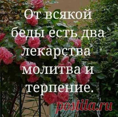 Продолжение ниже... ЖМИ