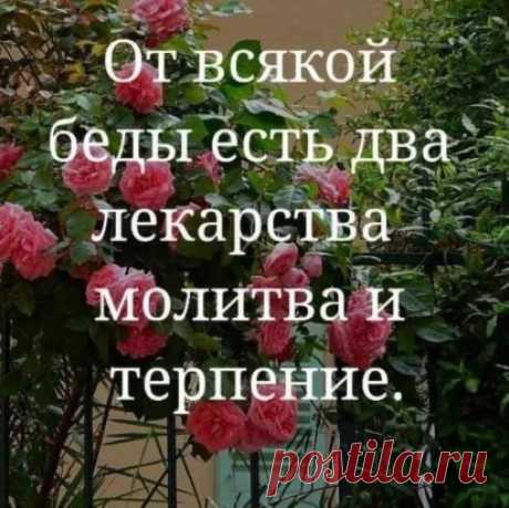 Продолжение ниже... ЖМИ