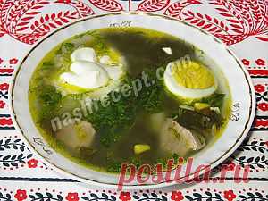 Зеленый борщ с щавелем. Пошаговый фото-рецепт | Наш Рецепт. Вкусные рецепты