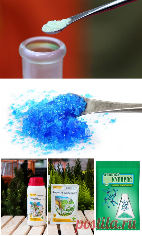 Купоросы и препараты на их основе: какие и когда применять на Supersadovnik.ru