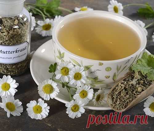Пижма, календула и душица помогут при бессоннице
