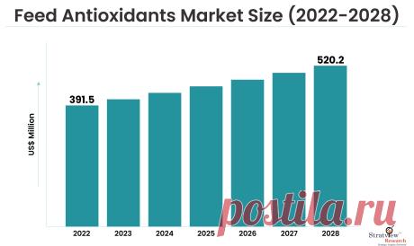 Feed Antioxidants for Poultry: Maximizing Productivity and Well-being

According to Stratview Research, The Feed Antioxidants Market is expected to grow from USD 391.5 Million in 2022 to USD 520.2 Million by 2028 at a healthy CAGR of 4.85% during the forecast period of 2023-2028.
Feed Antioxidants safeguard the feed nutrients in the feed such as vitamins, proteins, fats, pigments, and flavoring agents from deterioration which thus, gives nutrient security.