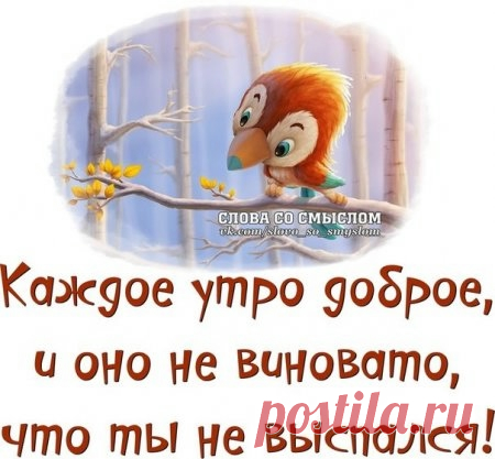 ПОЗИТИВНЫЕ ФРАЗОЧКИ В ПРИКОЛЬНЫХ КАРТИНКАХ. ВСЕМ ОТЛИЧНОГО НАСТРОЕНИЯ!