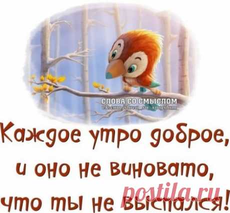 ПОЗИТИВНЫЕ ФРАЗОЧКИ В ПРИКОЛЬНЫХ КАРТИНКАХ. ВСЕМ ОТЛИЧНОГО НАСТРОЕНИЯ!