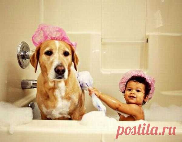 Картинки и открытки на Чистый Четверг 2018 — поздравительные с надписями, прикольные и смешные с пожеланиями с Чистым Четвергом