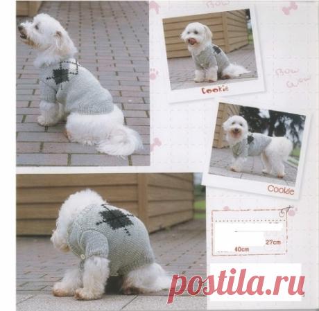 пальто для собаки - Вязание спицами аксессуаров