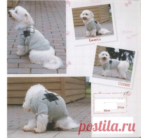 пальто для собаки - Вязание спицами аксессуаров