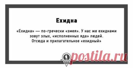 Я люблю русский язык!