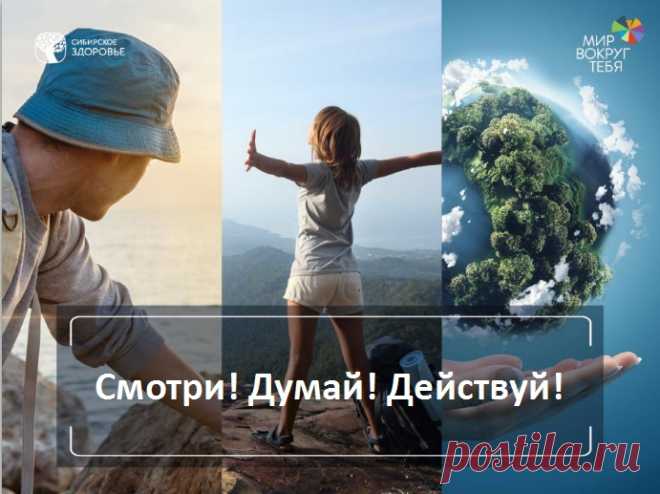 Корпорация 