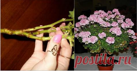 Делаю так не первый год!