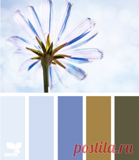 Цветы, деревья — источник вдохновения! | BepHuK собирает друзей