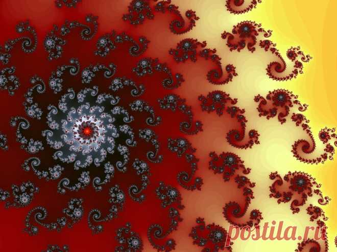 Digital Brown Fractal  Free Stock Photo HD - Public Domain Pictures