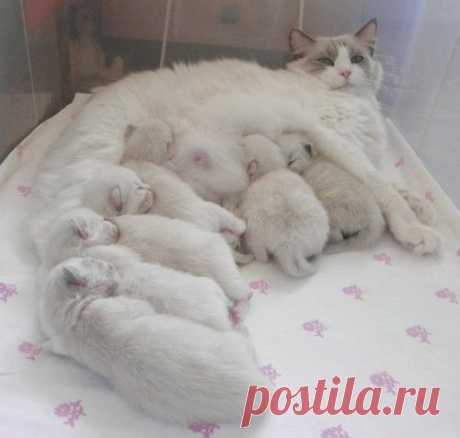 Мой Мир@Mail.Ru