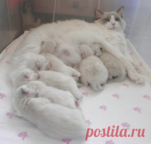 Мой Мир@Mail.Ru