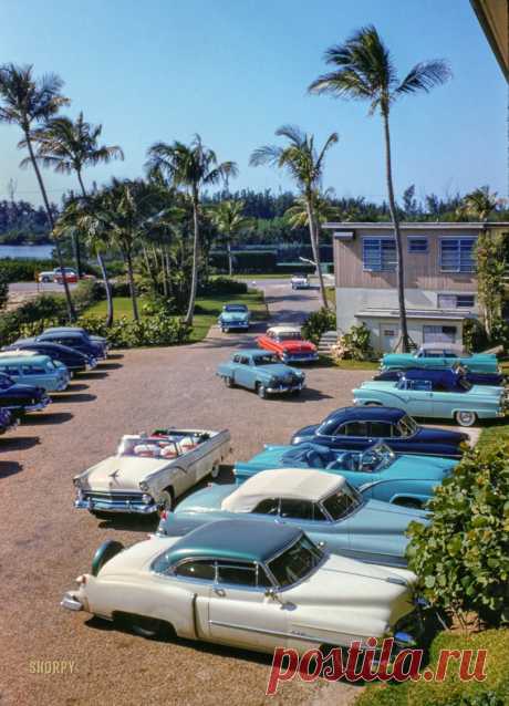 La Coquille: 1954 December 1954. "La Coquille Club, Palm Beach, Florida." 35mm Kodachrome by Toni Frissell for the Sports Illustrated assignment "Sporting Look: La Coquille."