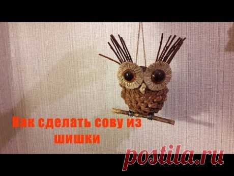 Как сделать сову из шишки
