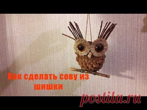 Как сделать сову из шишки