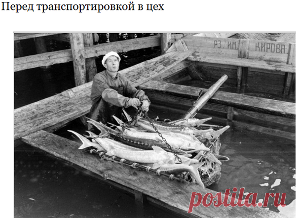 СССР. Наше 