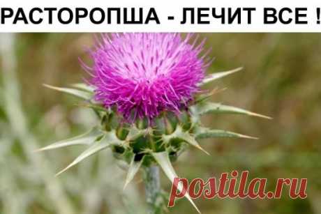 (46) Одноклассники