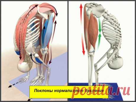 Поклоны нормализуют давление

Различные заболевания человека, в том числе и связанные с перепадами артериального давления, возникают, когда происходит уменьшение циркуляции энергетики ног. Стопы ног являются главным «выходом» отработанной энергии, а также через стопы человек наполняется жизненной вибрацией Земли.

Современные люди вообще малоподвижны, а уж про ходьбу босиком по сырой земле нет и речи.
Показать полностью…