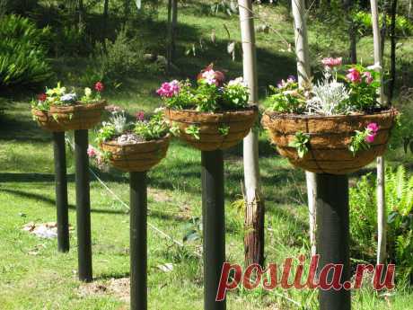 Home and Garden DIY Ideas, Photos and Answers | Hometalk