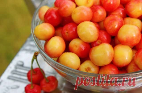 Черешня – Польза И Вред, Полезные Свойства, Калорийность, Противопоказания В летне-осенний сезон созревают свежие фрукты и ягоды, заряжающие наш организм витаминами, энергией, бодростью, повышающие жизненный тонус. Конечно, сегодня прилавки магазинов в любое время года заполнены разнообразными фруктово-ягодными дарами природы, но все-таки наиболее ценными считаются сезонные растительные продукты, которые можно употреблять, как говорится, «прямо с грядки». В данной статье р...