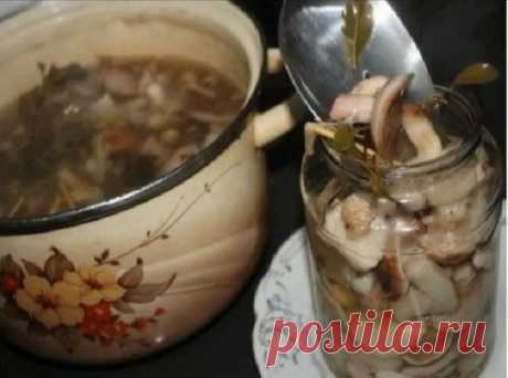 МАРИНАД ДЛЯ ГРИБОВ (Опят, маслят, белых и т. д. )