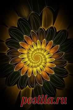 Spiral Petals Fractal Art