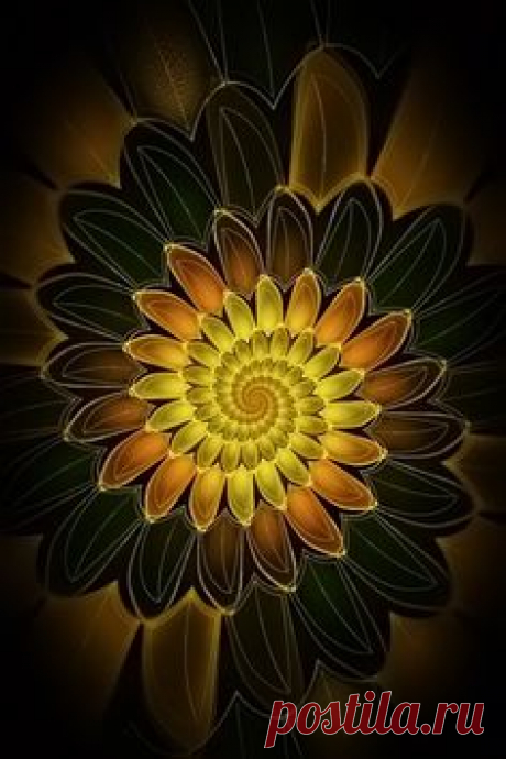 Spiral Petals Fractal Art
