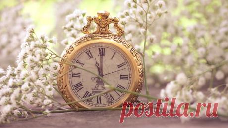 67711abe7ede7e00defd32b4c01ddd1d.jpg (830×467)