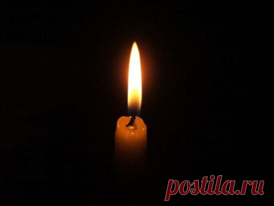 ​Ушла навсегда | Бумажный Слон | Яндекс Дзен