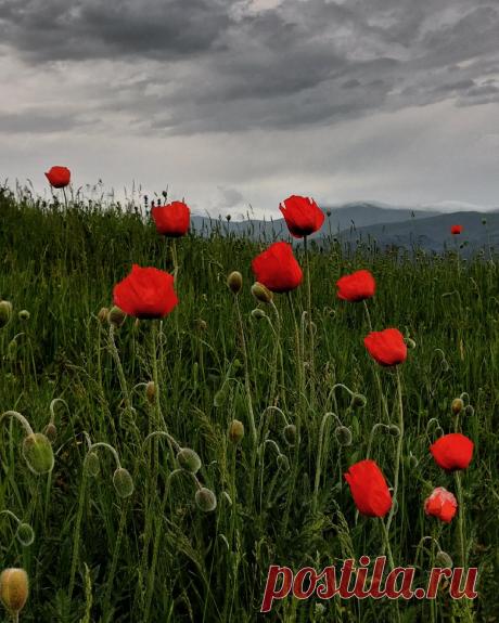 Здесь лучшие по съемке контента на смартфон.

Рассказываем истории про свои фото и узнаем друг друга.
Добро пожаловать в дружное сообщество фанатов съемки на смартфон!

Выкладывайте свои работы через предложить новость https://vk.com/topcontent2022 TopContent

Профессиональное видеопроизводство CMCproduction и SmartREC
CMCproduction - видеопроизводство полного цикла
SmartREC - первое мобильное видеопроизводство в Санкт-Петербурге