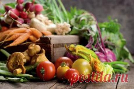 КАК СОХРАНИТЬ УРОЖАЙ НА ЗИМУ | Делаем сами