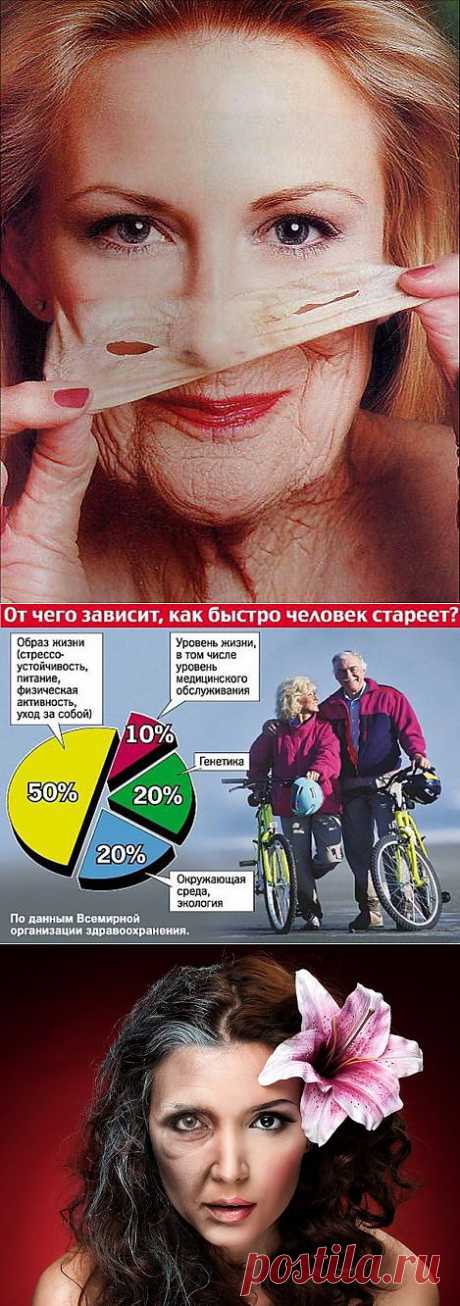 Биологический возраст. Омоложение организма..