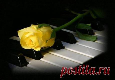 Моим читателям посвящается!