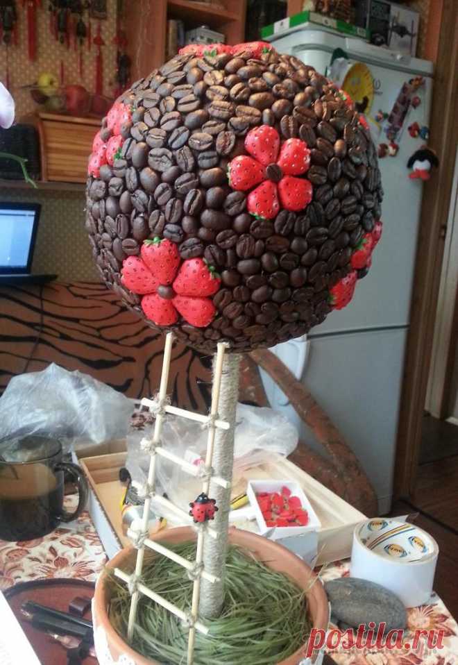 Мои первый топиарий))) и второй))