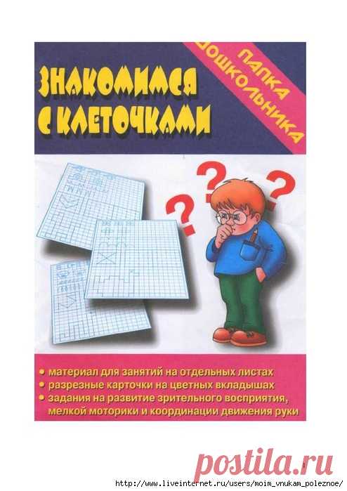 Папка дошкольника ЗНАКОМИМСЯ С КЛЕТОЧКАМИ
