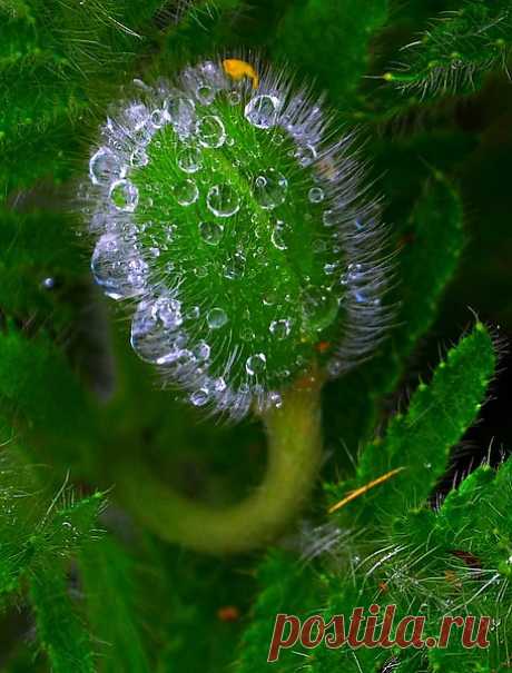 Moireach: Ничто не стоит сожалений...