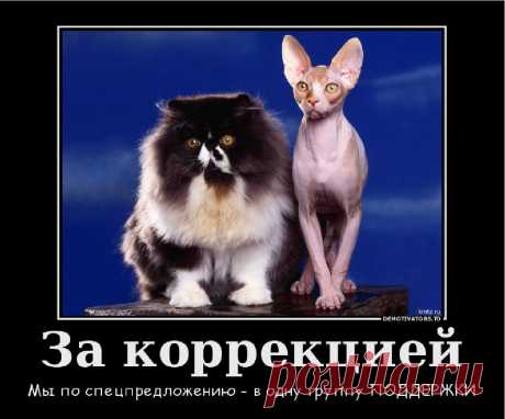 Экспериментальная группа поддержки скоро стартует ! Успейте записаться - и к Новому году ненавистные килограммы покинут вашу стройную фигуру!!! 
На-все-г-да!!!   https://www.youtube.com/watch?v=g9fS1tmhdGA