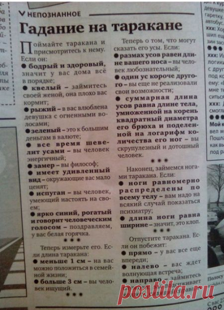Гадание на таракане — Маразм дня, 12 марта 2015