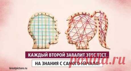 Каждый второй завалит этот тест на знания с самого начала! Каждый второй завалит этот тест на знания с самого начала!Любите проходить тесты на эрудицию и проверять свой уровень знаний? Тогда этот тест